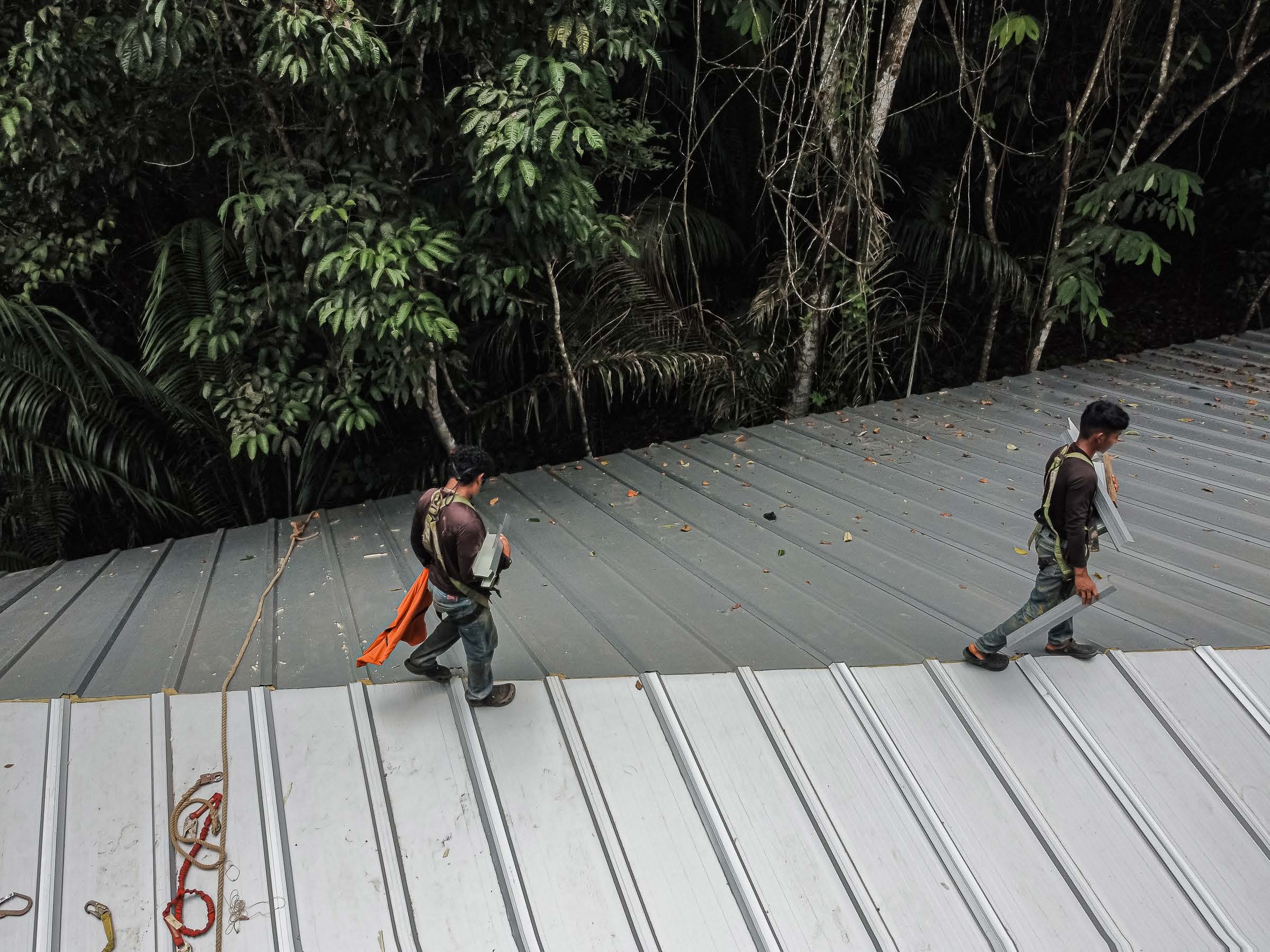 Construcción del Refugio en el bosque tropical